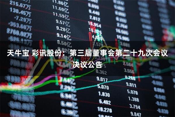 天牛宝 彩讯股份：第三届董事会第二十九次会议决议公告