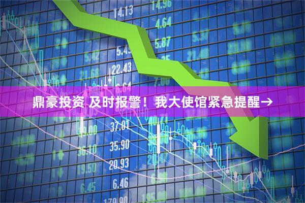 鼎豪投资 及时报警！我大使馆紧急提醒→