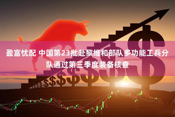 盈富忧配 中国第23批赴黎维和部队多功能工兵分队通过第三季度装备核查