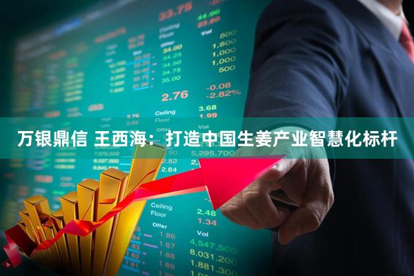 万银鼎信 王西海：打造中国生姜产业智慧化标杆