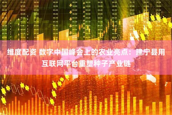 维度配资 数字中国峰会上的农业亮点：建宁县用互联网平台重塑种子产业链