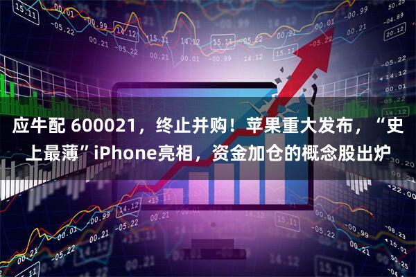 应牛配 600021,终止并购!苹果重大发布,“史上最薄”iPhone亮相,资金加仓的概念股出炉